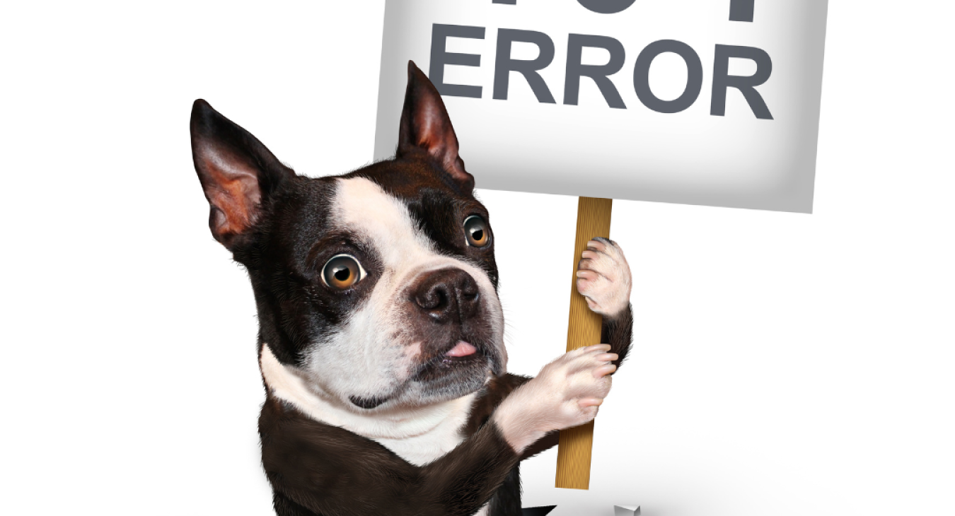 dog holding a 404 error sign