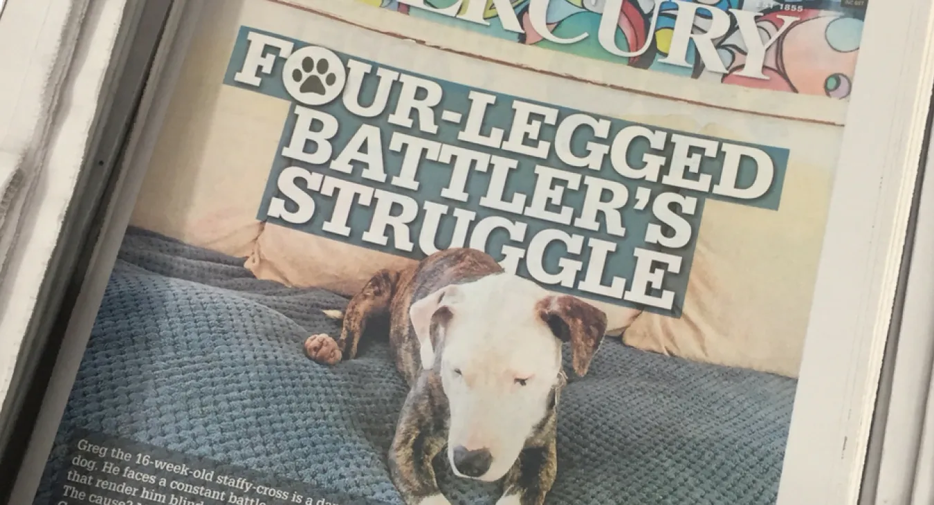 Greg's story in the illawarra mercury