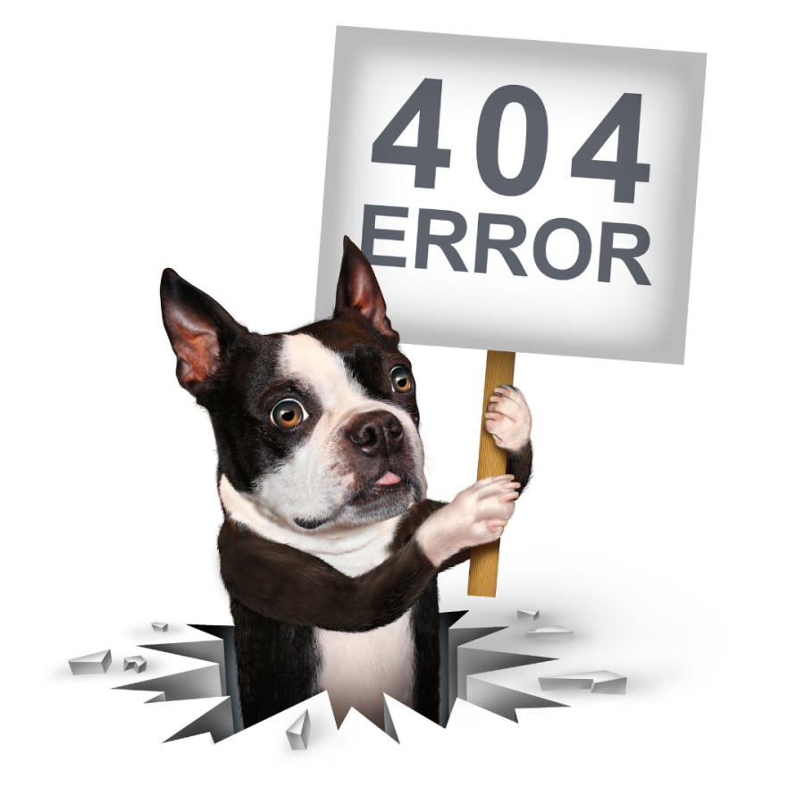 dog holding a 404 error sign