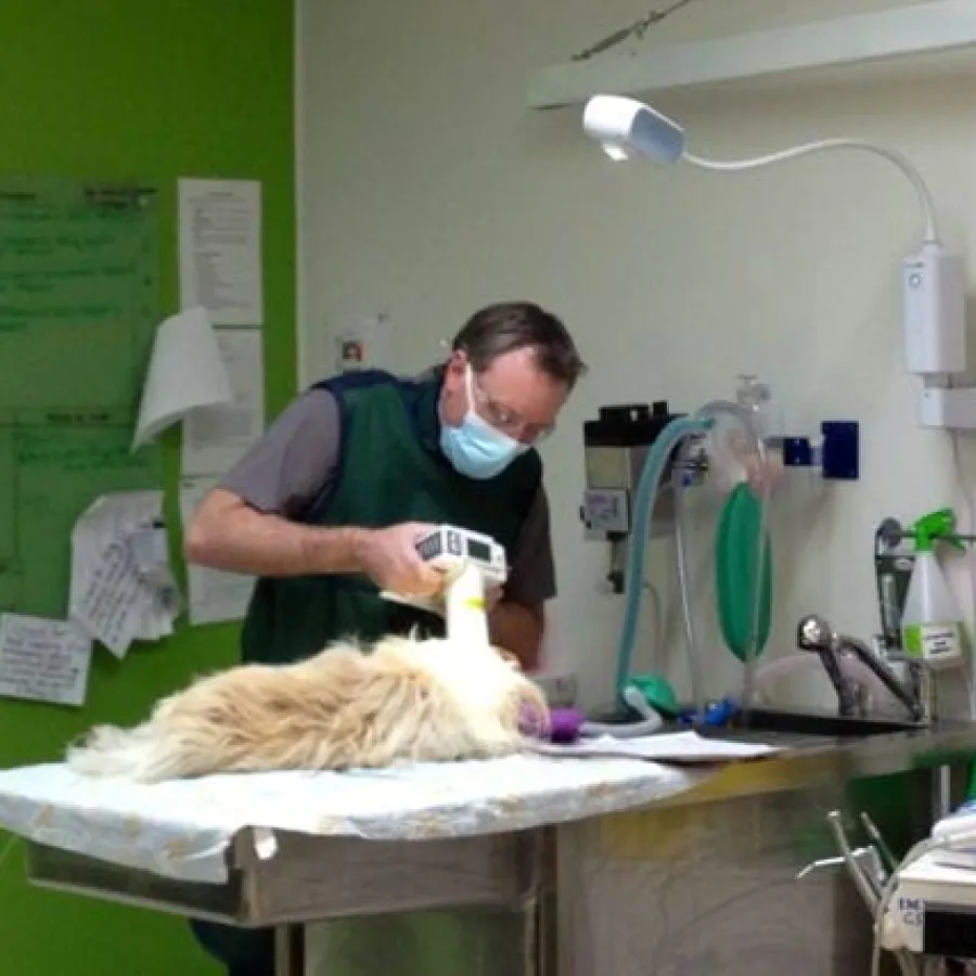 taking a dental radiograph
