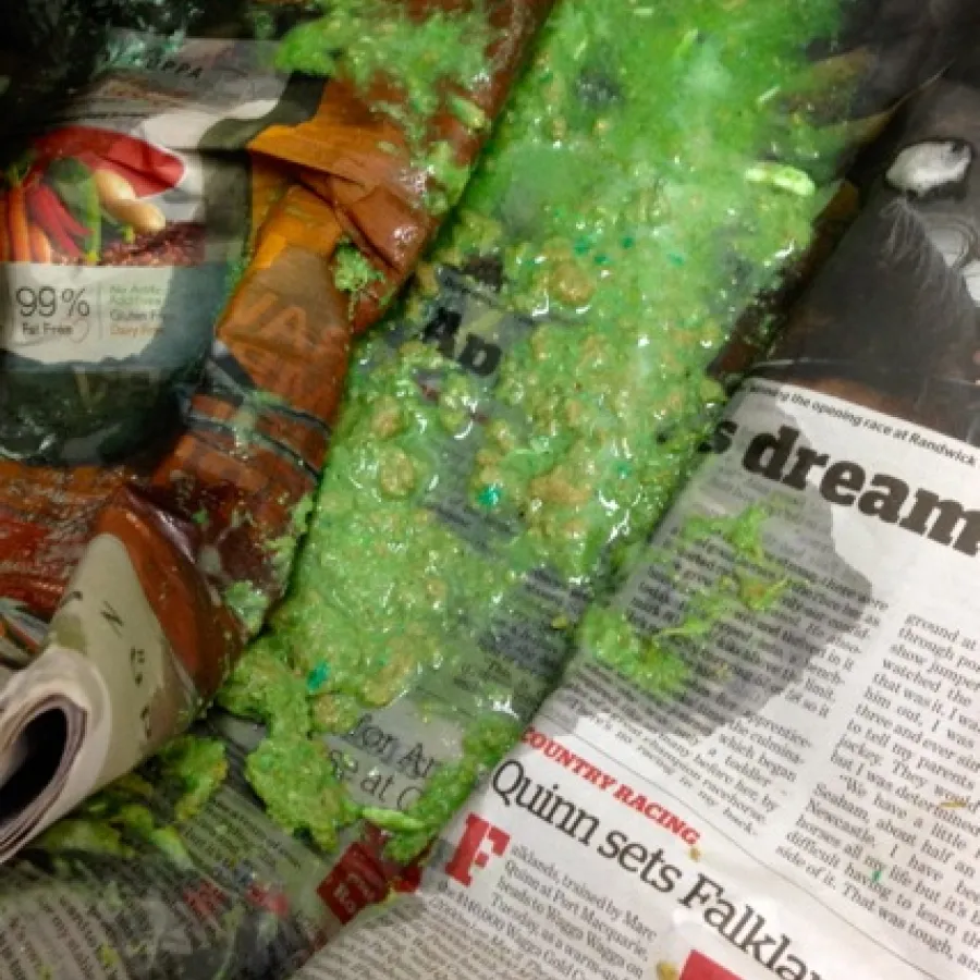 vomit with rat poison